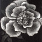 Trial Flower (4x4)